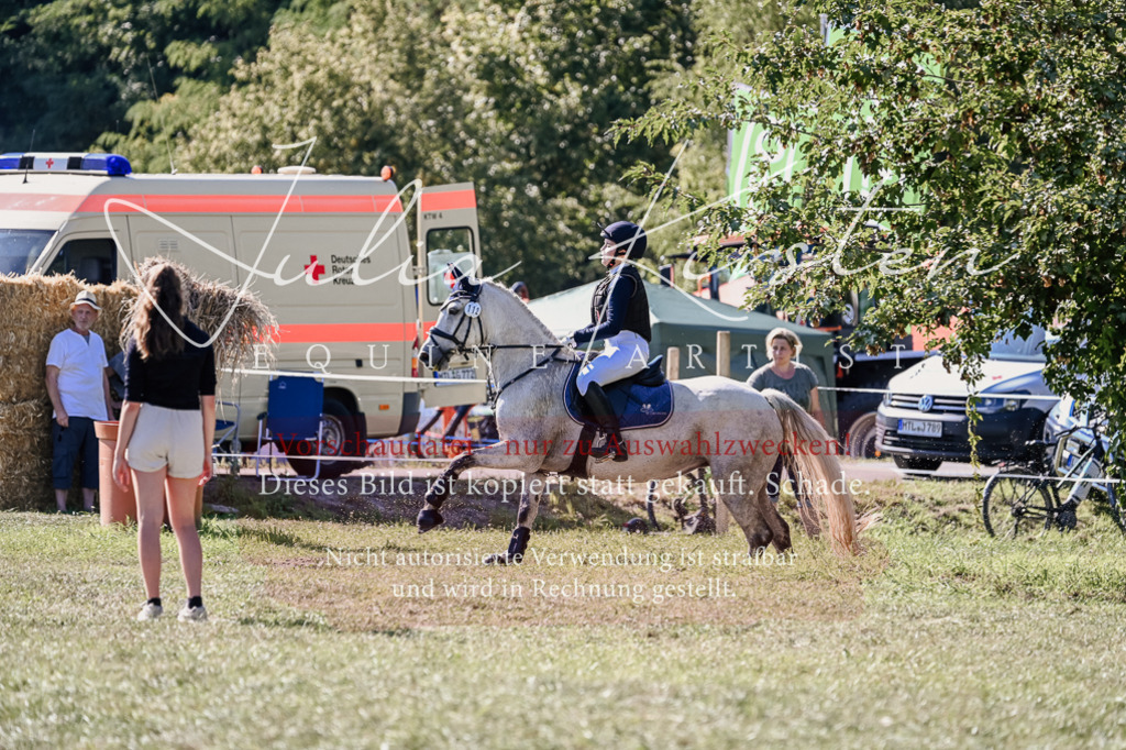 DSC_3218 | Pferde- und Turnierfotografie in Westsachsen. Pferdeportraits, Auftragszeichnungen und intuitive Kunst.