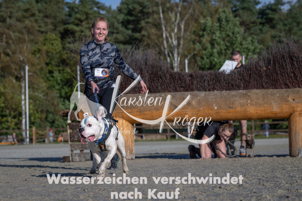 1049-_ZZ92848 | kk-dogfotos