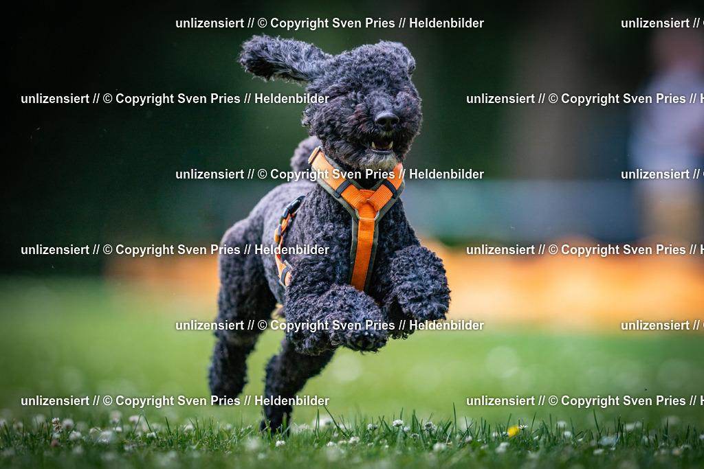 Sven Pries | 2025-05-29 - Pudelrennen KA-Durlach - Realisiert mit Pictrs.com