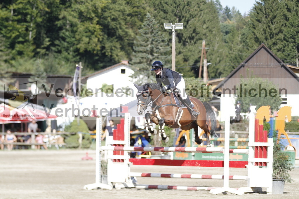 _MG_3484 | equestrian-live-com