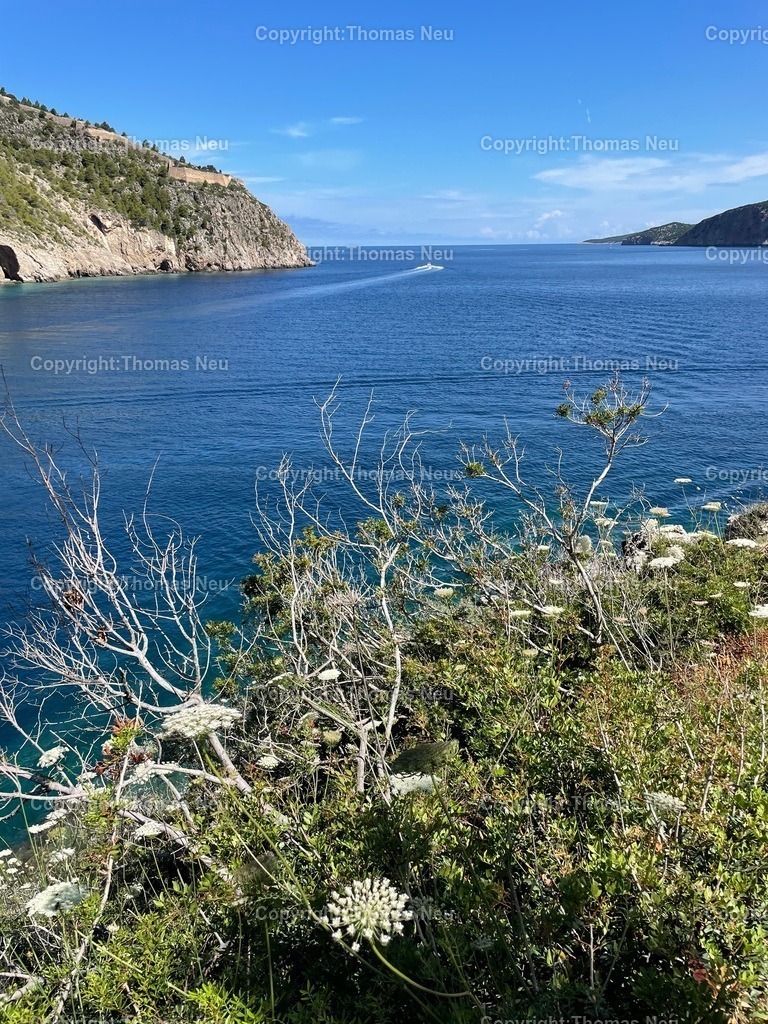 IMG_3824 | Hochwertige Fotografien aus Bensheim, der hessischen Bergstraße und dem Odenwald. Stadtansichten, Landschaften und historische Motive von Fotograf Thomas Neu- als Datei und Print erhältlich