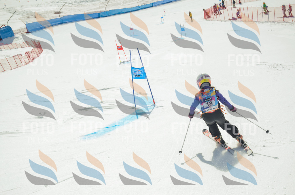 _ELE4701 | holidayphoto