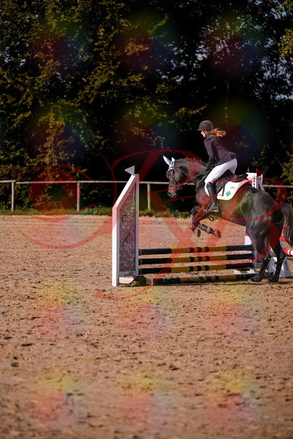 2026_10_03_Siefer-Hof_153510_Z81_46696746 | Professionelle Reitsport-, Turnier- und Eventfotografie von Robert Broda. Galerien mit ausgewählten und bearbeiteten Bildern direkt online ansehen und bestellen.