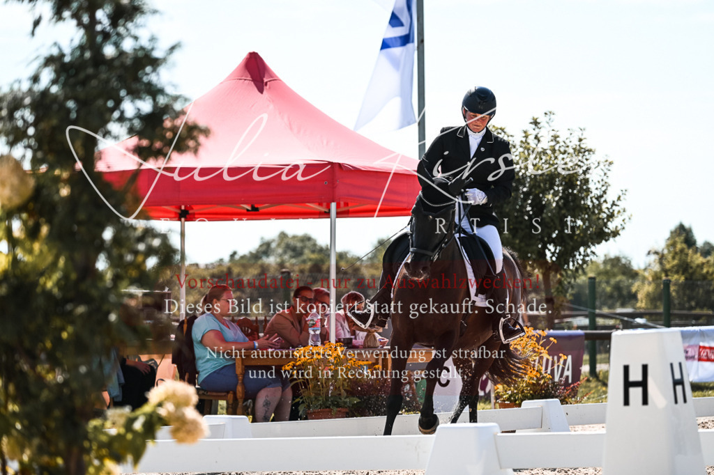 DSC_5020 | Pferde- und Turnierfotografie in Westsachsen. Pferdeportraits, Auftragszeichnungen und intuitive Kunst.