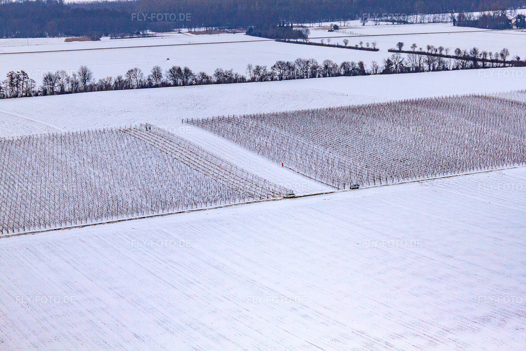 Luftbild: Weinberge Im Winter bei Schnee in Minfeld im Bundesland Rheinland-Pfalz in Deutschland. Foto: IMG_23554.jpg vom 16.01.2010 durch Werner Riehm/FLY-FOTO.de