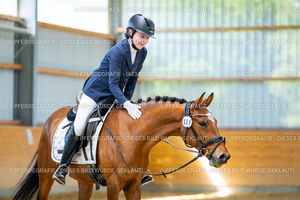 DSC08808 | Pferdegrafie