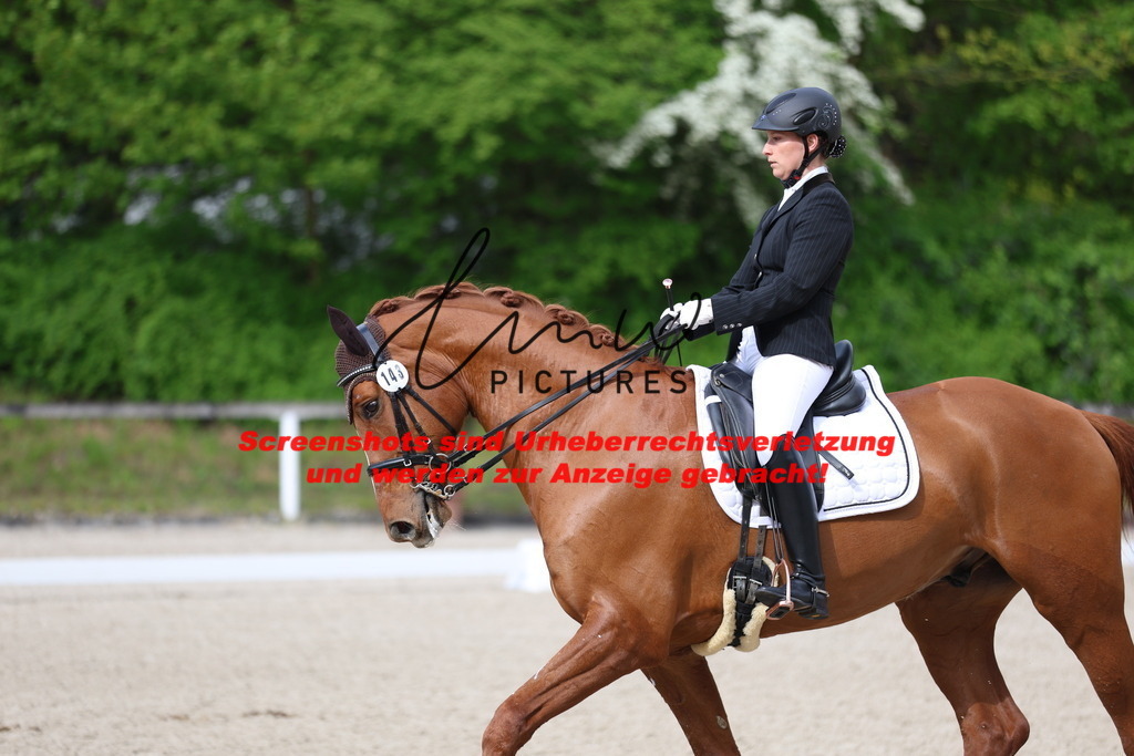 A40A3950 | lmwpictures - Realisiert mit Pictrs.com