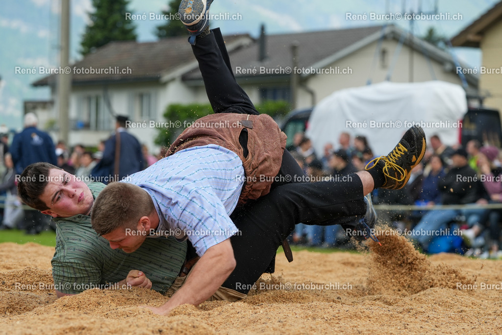 RB_08248-2 | René Burch leidenschaftlicher Fotograf aus Kerns in Obwalden.  Hier finden sie Sport, Landschaft und Natur Fotografie.
 - Realisiert mit Pictrs.com