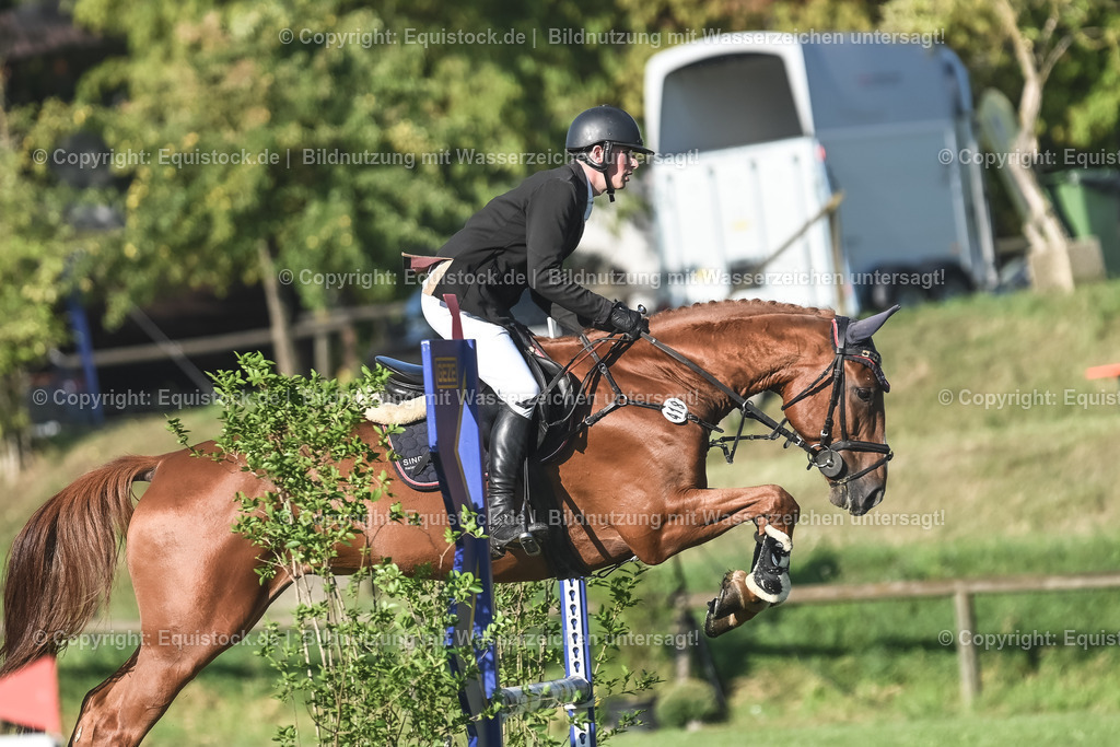 20230908_14-15_Springpferde-A_0072 | equistock