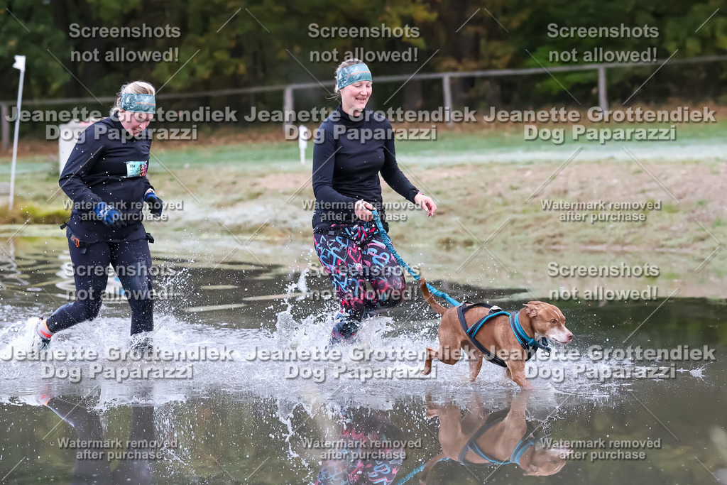 Dog Paparazzi - Strongdog 10-25-6092 | Dog Paparazzi Jeanette Grottendiek Fotografie & Videografie - Realisiert mit Pictrs.com