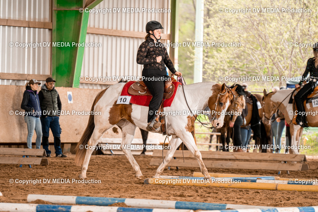 BA300532 | dv-media-shop - Realisiert mit Pictrs.com