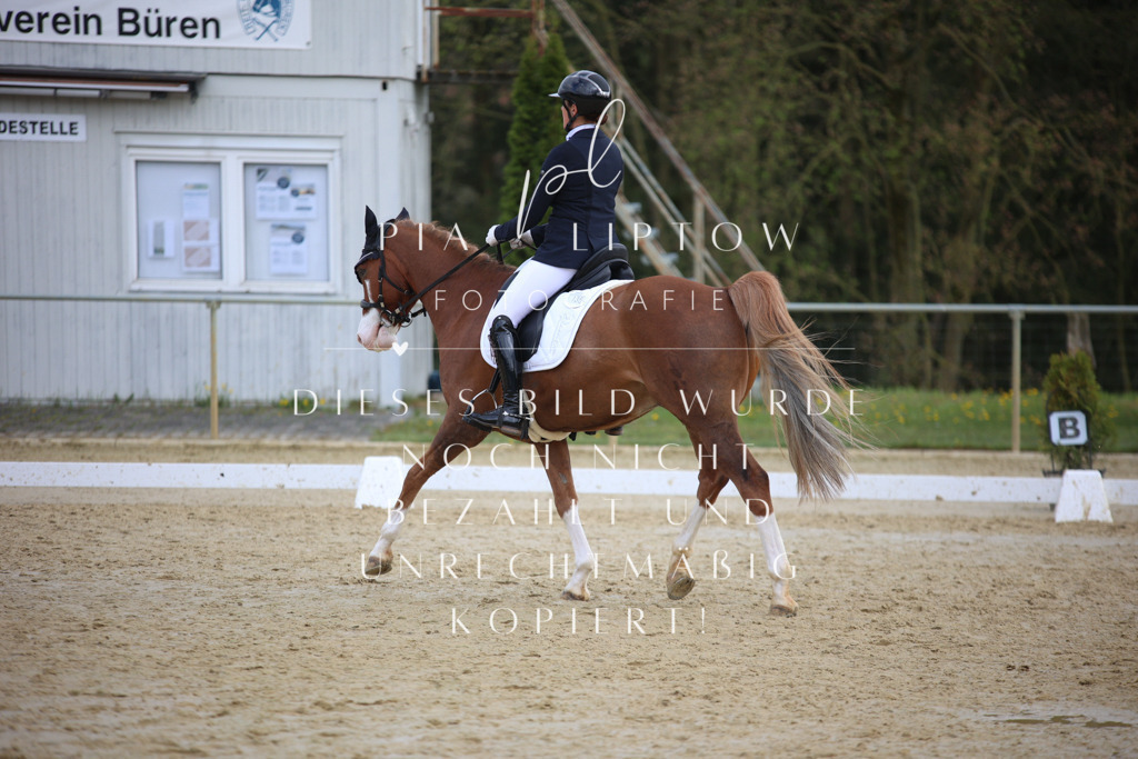 IMGT6873 | pl-fotografie