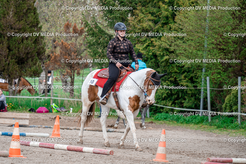 BAL02601 | dv-media-shop - Realisiert mit Pictrs.com