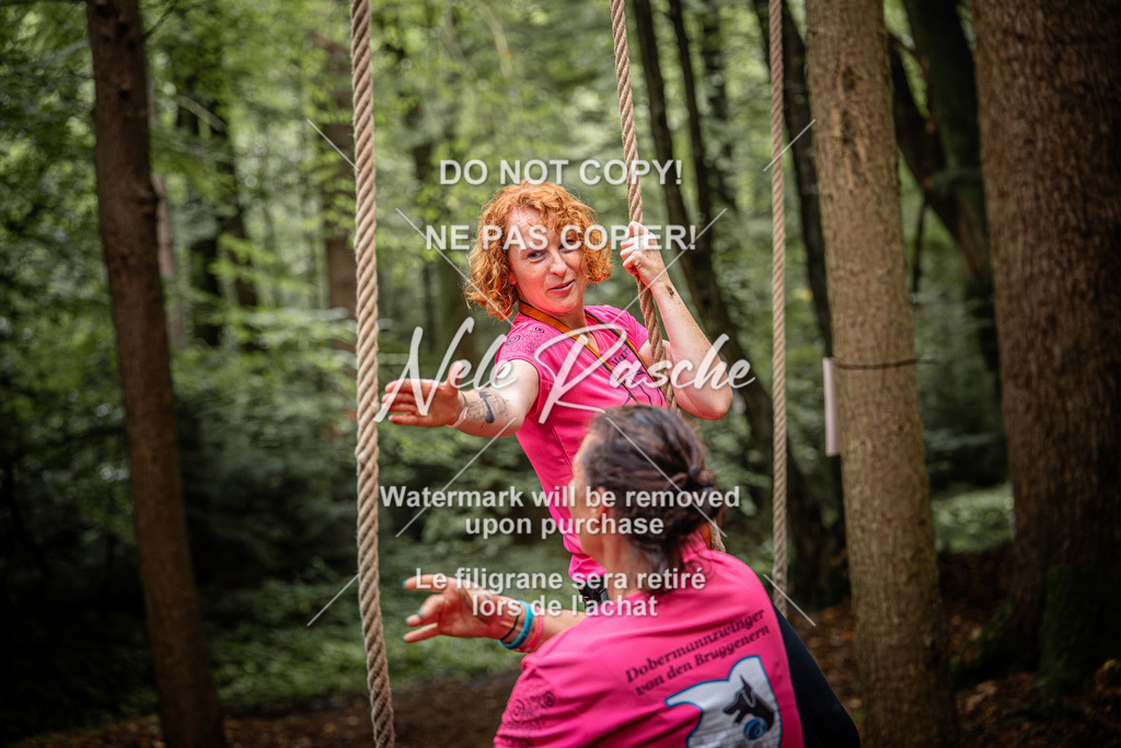 nelerasche_So0930-1030_291 | nelerasche