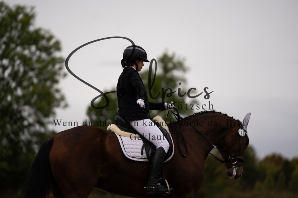 A7V05883 | Pferdefotograf