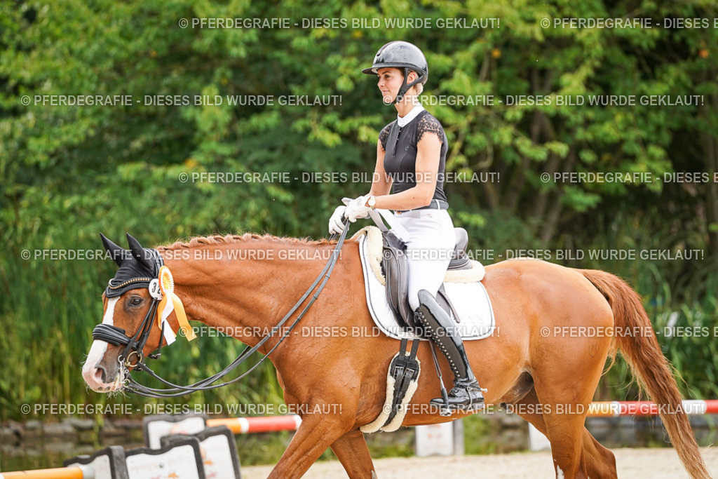 DSC08185 | Pferdegrafie