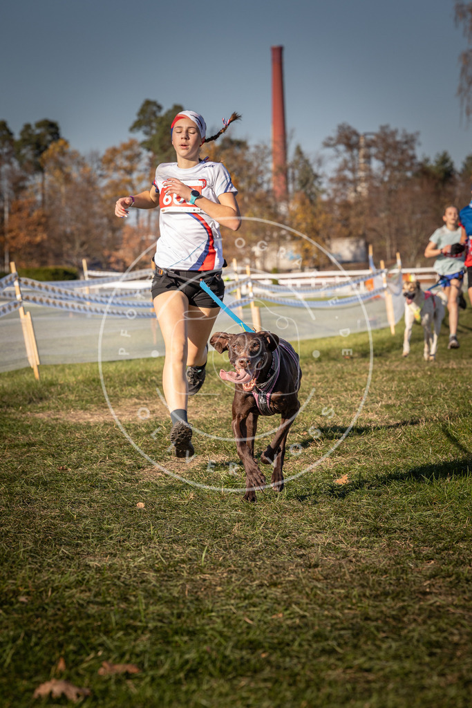 CaniXpix_0L8A8497 | Hundefotografie, Tierfotograf, Pfotenfotografie, Fotoshooting Hund, Hunde Portrait, Hundesport, Hundeportraits, Heideshooting, Hunde, Sportfotograf, Hundefotograf, Turnierhundsport, THS,  - Realisiert mit Pictrs.com