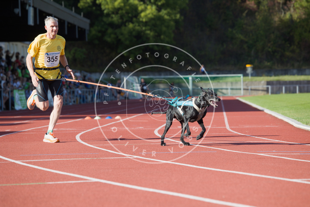 0L8A9986 | Hundefotografie, Tierfotograf, Pfotenfotografie, Fotoshooting Hund, Hunde Portrait, Hundesport, Hundeportraits, Heideshooting, Hunde, Sportfotograf, Hundefotograf, Turnierhundsport, THS,  - Realisiert mit Pictrs.com