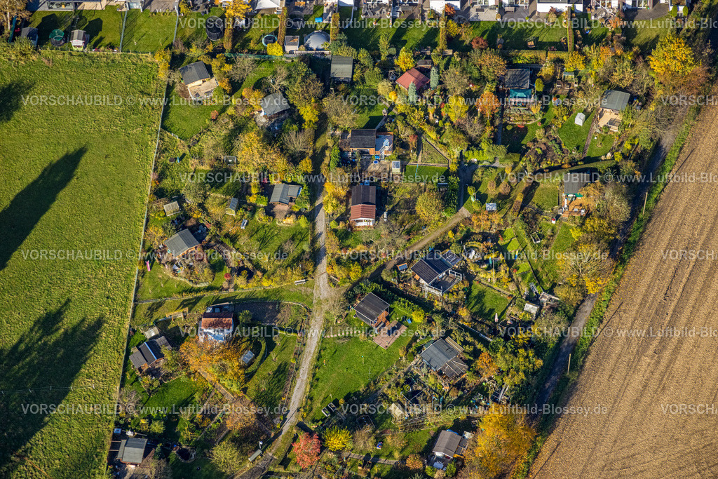 Witten231101283 | Luftbild, Kleingartenverein Am Heuweg e.V., Lauben und Häuser in kreisrunder Form geordnet, Gartenanlage mit Laubbäumen in Herbstfarben, Stockum, Witten, Ruhrgebiet, Nordrhein-Westfalen, Deutschland