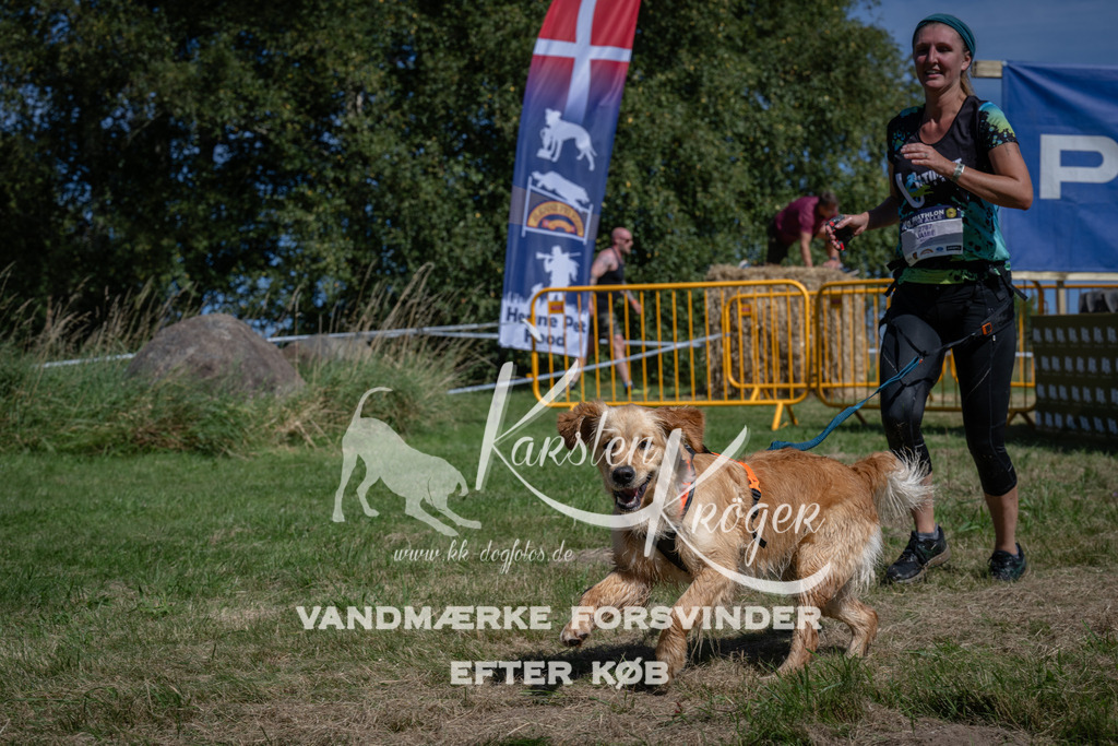 1205_ZZ93977 | kk-dogfotos