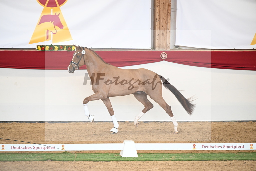 Kat.-Nr. 84 v. Vaderland_van den Oetelaar_2250816 | hf-fotografie - Realisiert mit Pictrs.com