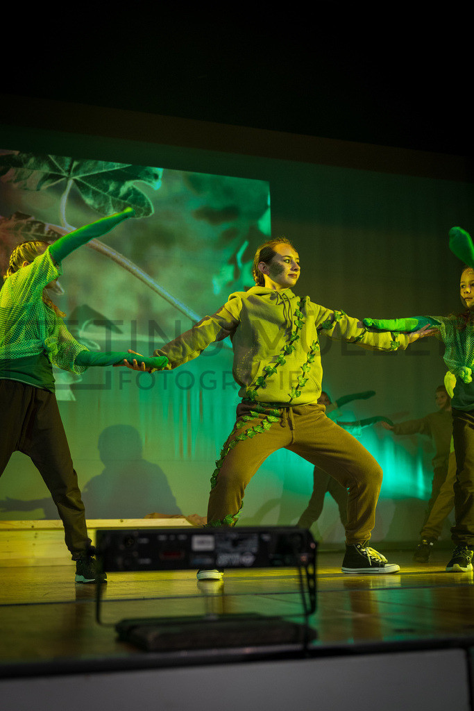 DSC06201 | Tinu Müller Fotografie- Bildershop - Realisiert mit Pictrs.com