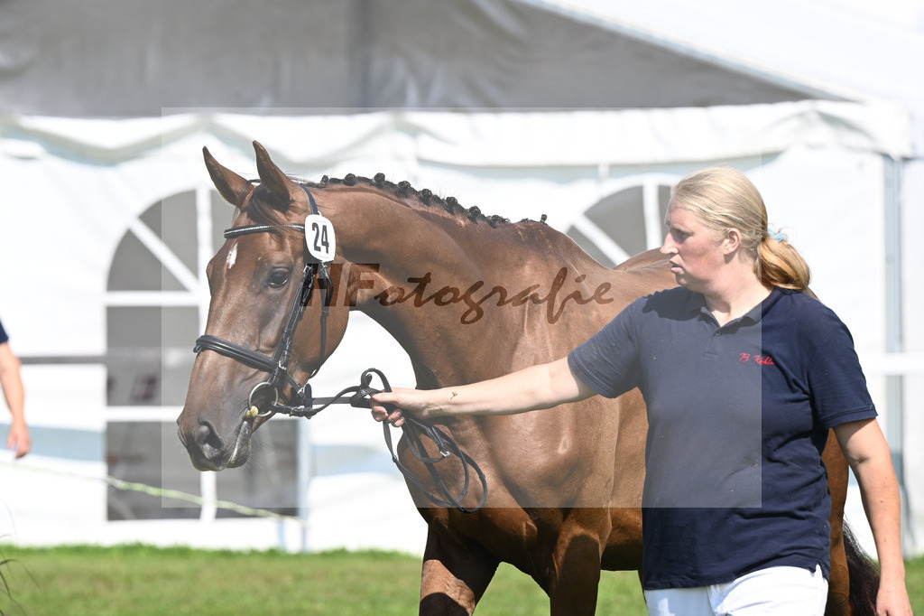 Kat-Nr. 24 Pocahontas K_Kaehler_34240540 | hf-fotografie - Realisiert mit Pictrs.com