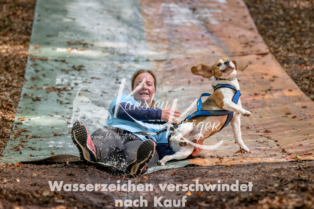 1258_ZZ91503-Bearbeitet | kk-dogfotos