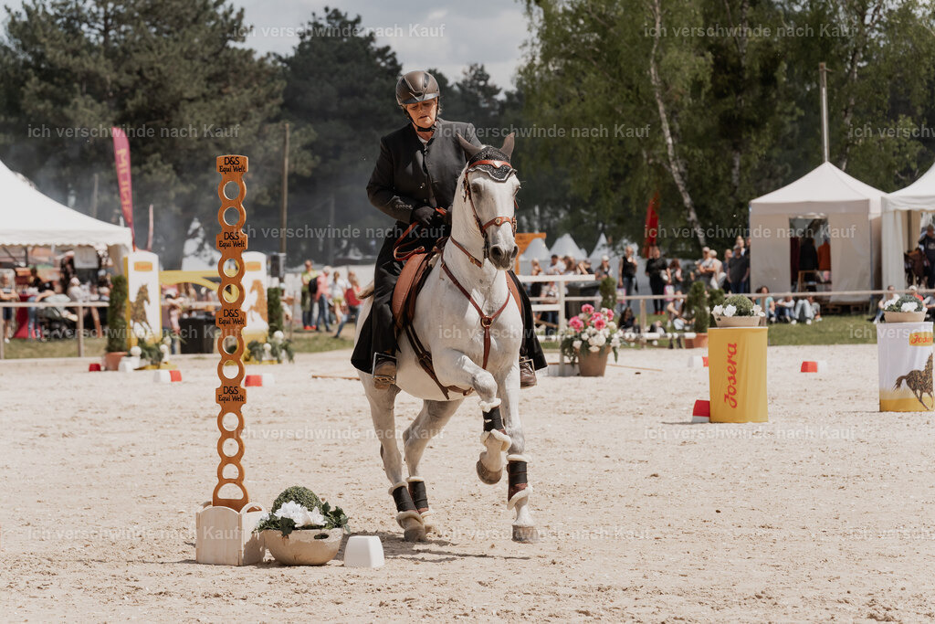 WE_ST_Stoib_321_PI2025_1144 | Pferd International München 2025