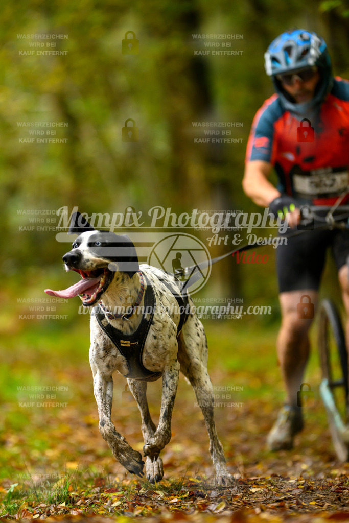 MompixPhotography_20TSB_E1_Doppel-30 | PayLife