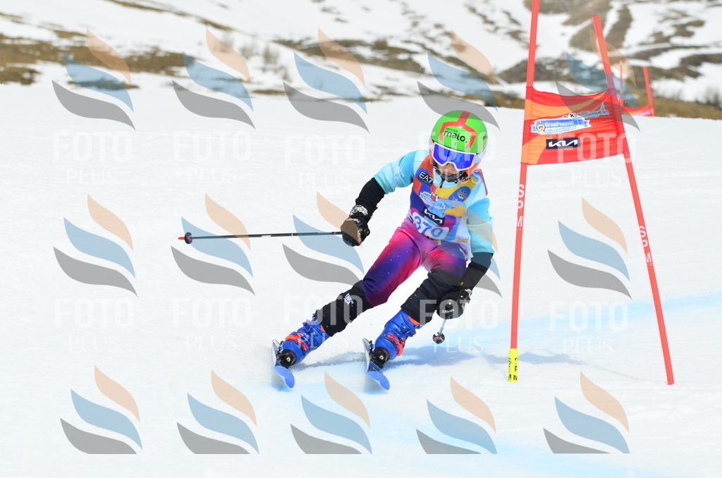 _ELE3023 | holidayphoto