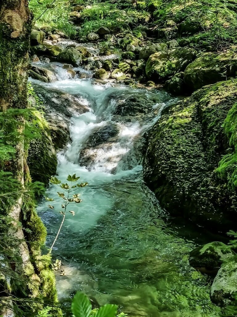 PSX_20210811_121934 | mtkfoto_ - Realisiert mit Pictrs.com