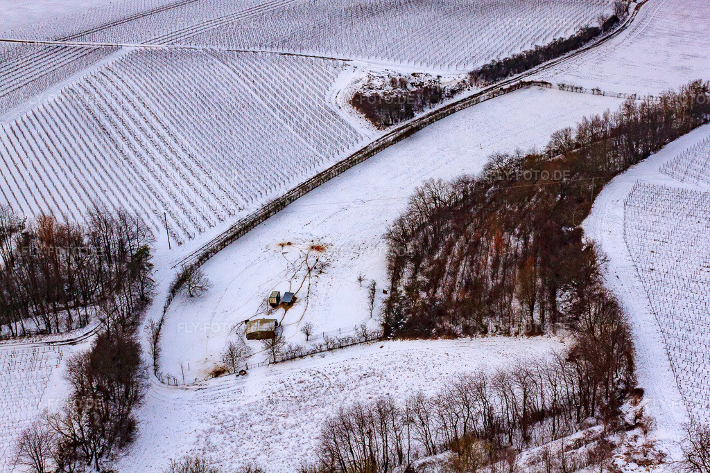Luftbild: Pferdekoppel bei Schnee in Barbelroth im Bundesland Rheinland-Pfalz in Deutschland. Foto: IMG_23690.jpg vom 16.01.2010 durch Werner Riehm/FLY-FOTO.de