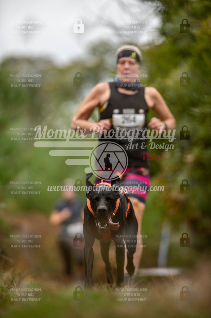TSB_2023_E5_Canicross-105 | PayLife