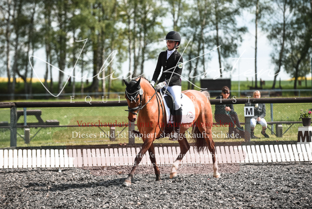 DSC_8997 | Pferde- und Turnierfotografie in Westsachsen. Pferdeportraits, Auftragszeichnungen und intuitive Kunst.