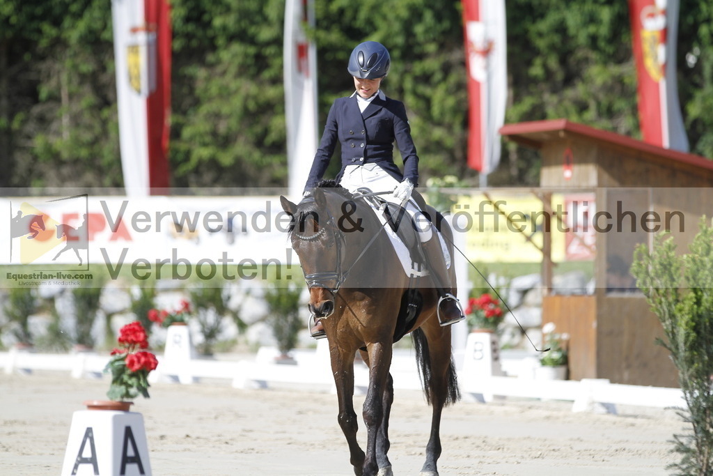 _MG_2904 | equestrian-live-com