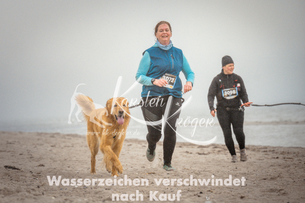 1110_ZZ97027 | kk-dogfotos