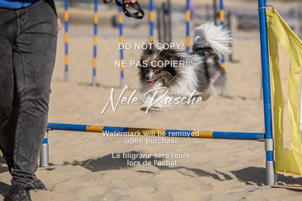 nelerasche_saBeachility_25 | nelerasche
