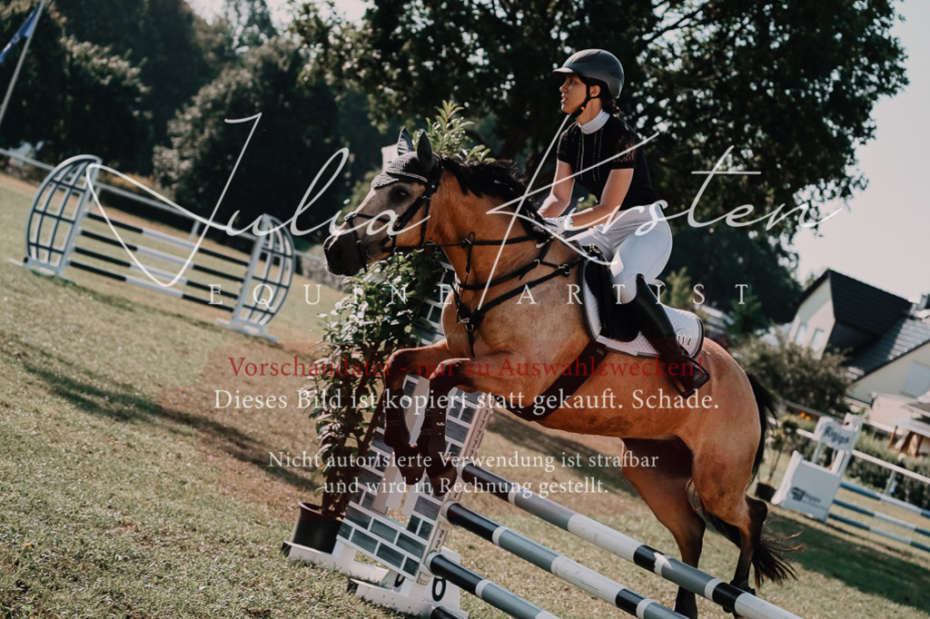 DSC_4852 | Pferde- und Turnierfotografie in Westsachsen. Pferdeportraits, Auftragszeichnungen und intuitive Kunst.
