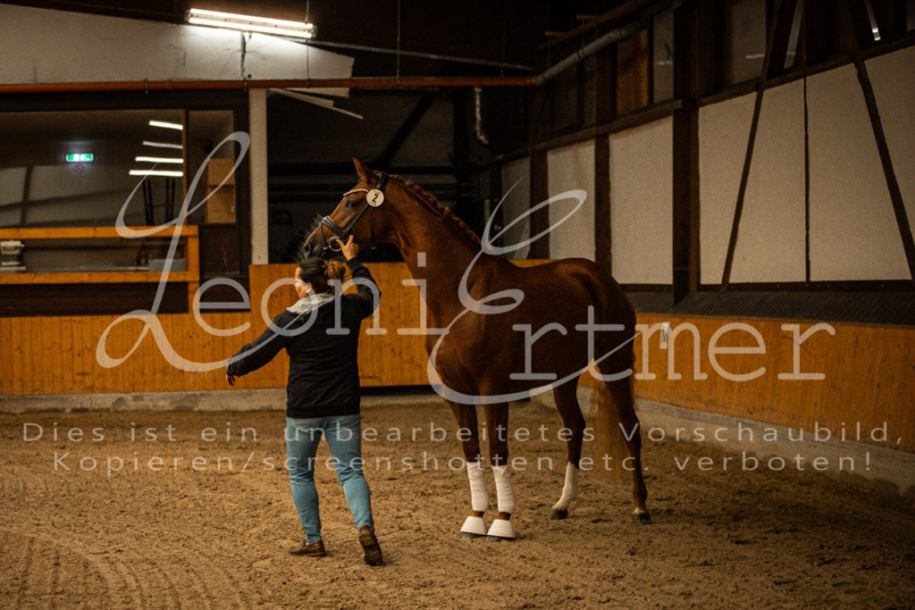 1FS_L00031 | Leoni Ertmer Photography - Realisiert mit Pictrs.com