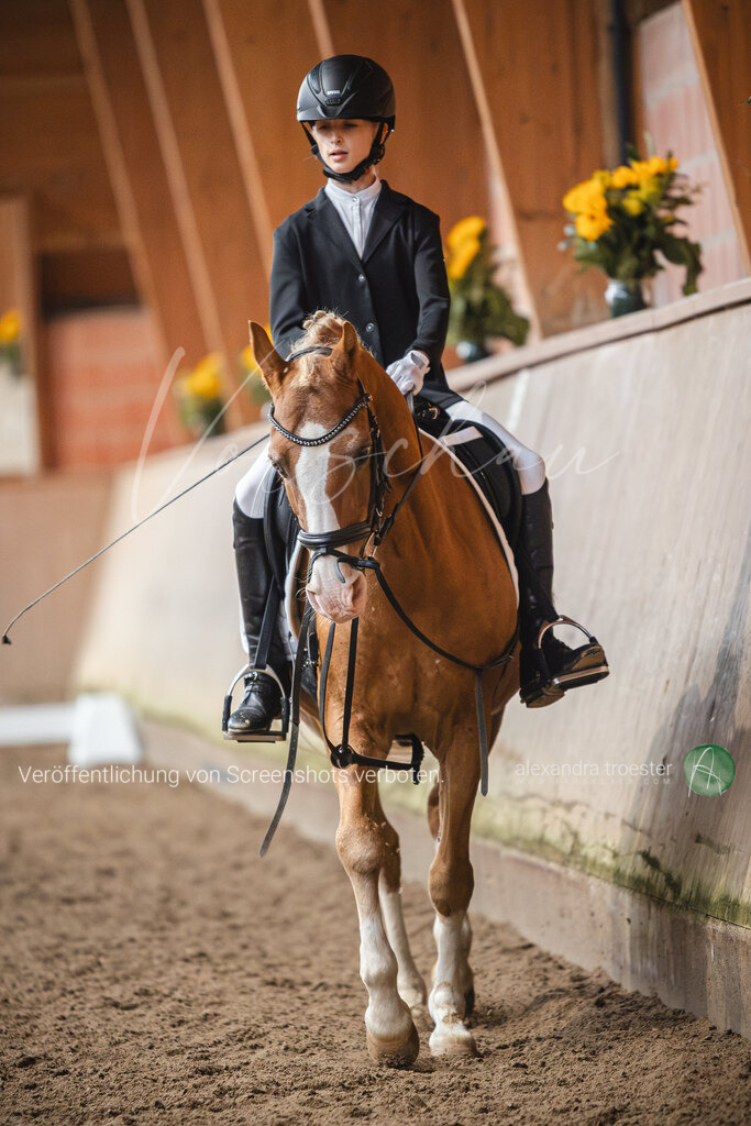 _MG_0726 | farbklaex.com