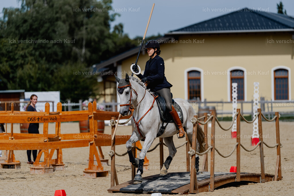 Svea13FHC2025-2849 | working equitationturnier fotograf videograf stoibphotography marixx film working equitation deutschland reitsport turnierfotografie eventfotografie equestrian events