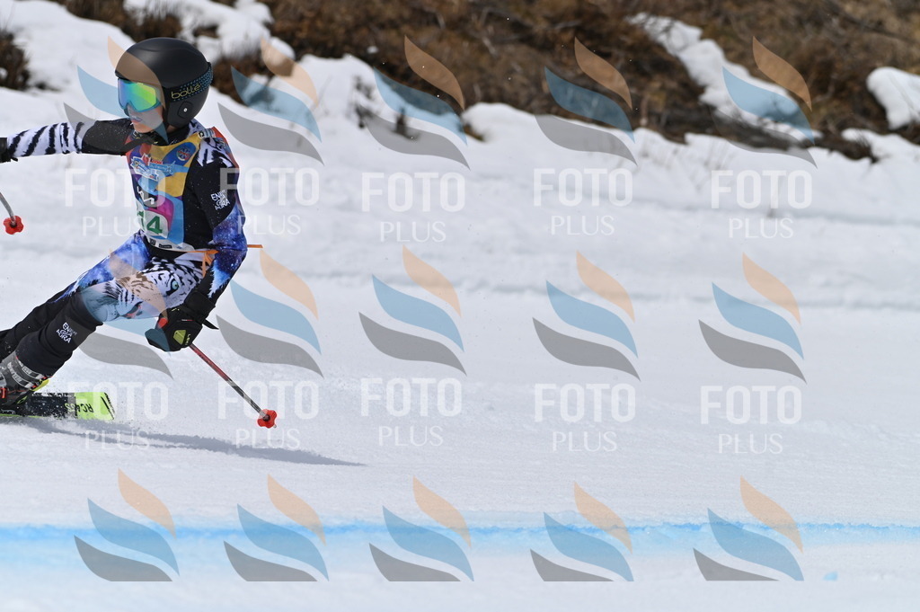 BGV_4166 | holidayphoto