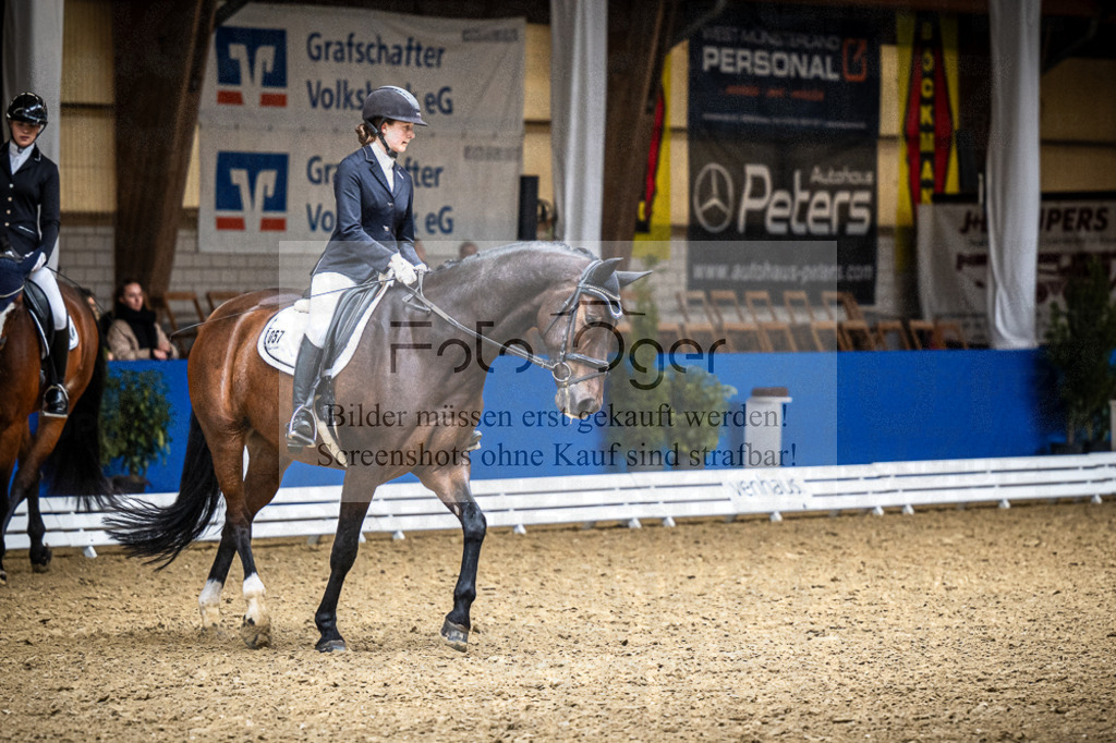 DOS_1367 | Entdecke hochwertige Reitturnierfotos von Foto Oger. Professionell, emotional und authentisch – jetzt Lieblingsmomente im Shop bestellen.Deutschlandweite Turnierfotografie. - Realisiert mit Pictrs.com