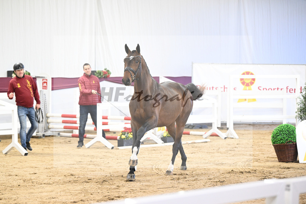 Kat-Nr. 3 Jasper x Carolus I_Klemens Zeil _47250050 | hf-fotografie - Realisiert mit Pictrs.com