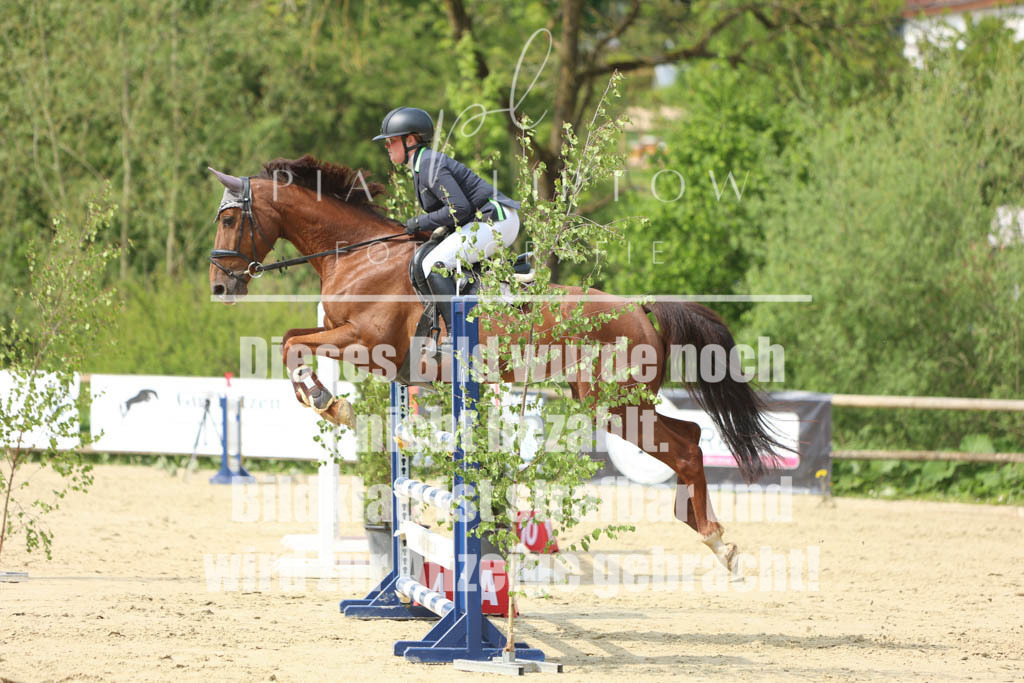 IMGM5956 | pl-fotografie