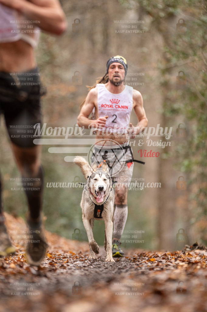 SPA_2023_DIM_CCL-6 | PayLife