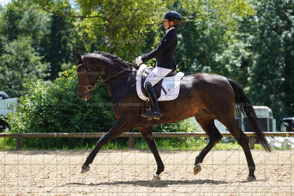 20240705-FAH04137 | Turnierbilder von Grafing, Reitsportbilder, Turnierfotos, Turnierfotografen Bayern, Pferdefotograf, Fotoagentur Herrmann