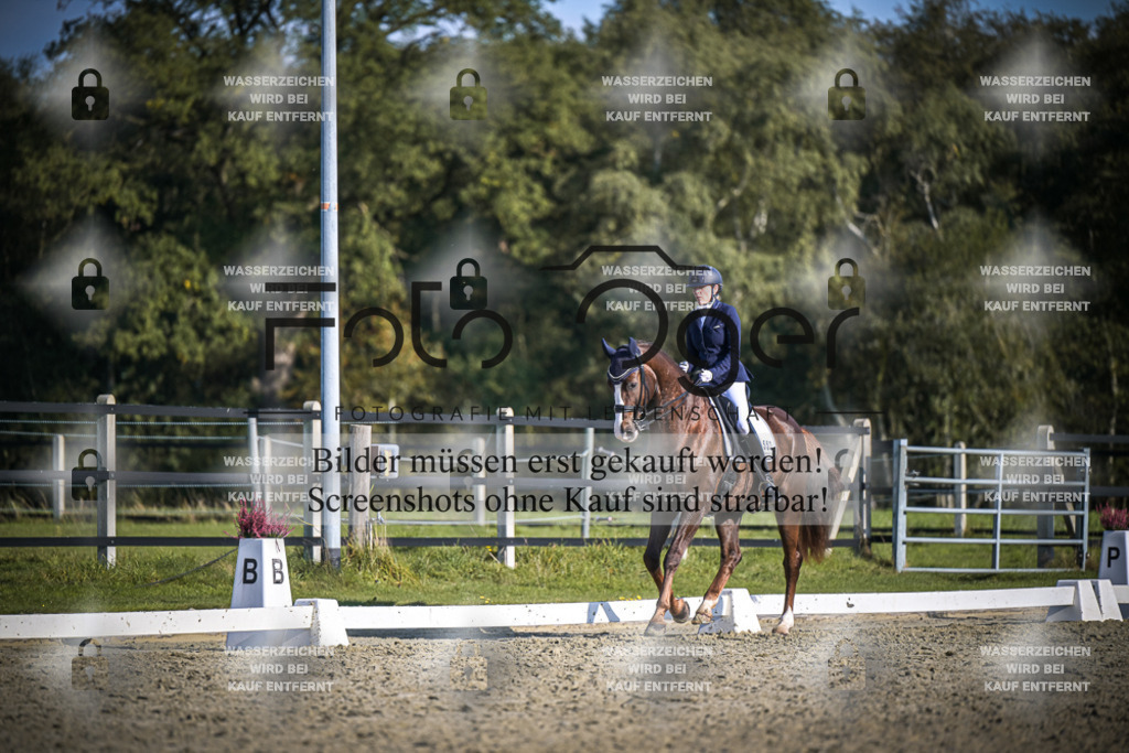 DOS_B792 | Entdecke hochwertige Reitturnierfotos von Foto Oger. Professionell, emotional und authentisch – jetzt Lieblingsmomente im Shop bestellen.Deutschlandweite Turnierfotografie. - Realisiert mit Pictrs.com