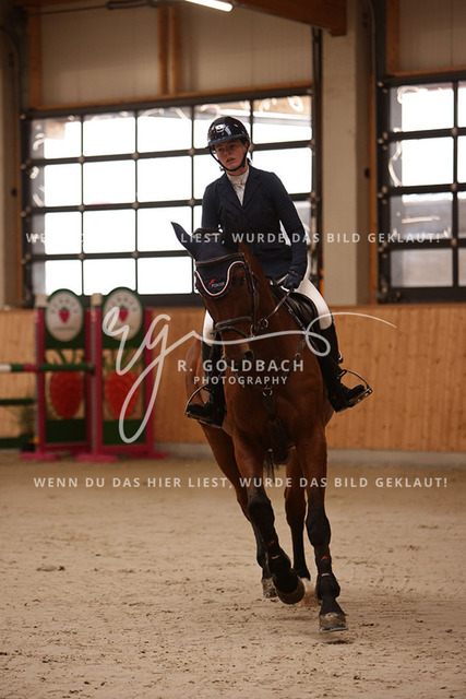 1J2A2253Lilli Plath_ Stakkato_s Diva_ Kn453_ Hohen Wieschendorf_ Glantz | Foto- und Videografie für alles rund ums Pferd. Hochwertige Bilder und Videos vom Spring- und Dressurreiten, Voltigieren & mehr. Jetzt aktuelle Veranstaltungen und Preise im Shop ansehen. - Realisiert mit Pictrs.com